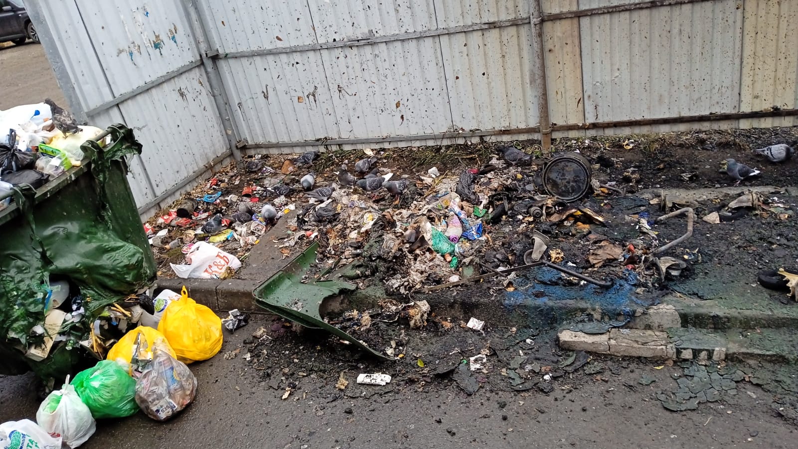 В Кургане за ночь сожгли 5 контейнеров для ТКО В Кургане за ночь сожгли 5 контейнеров для ТКО