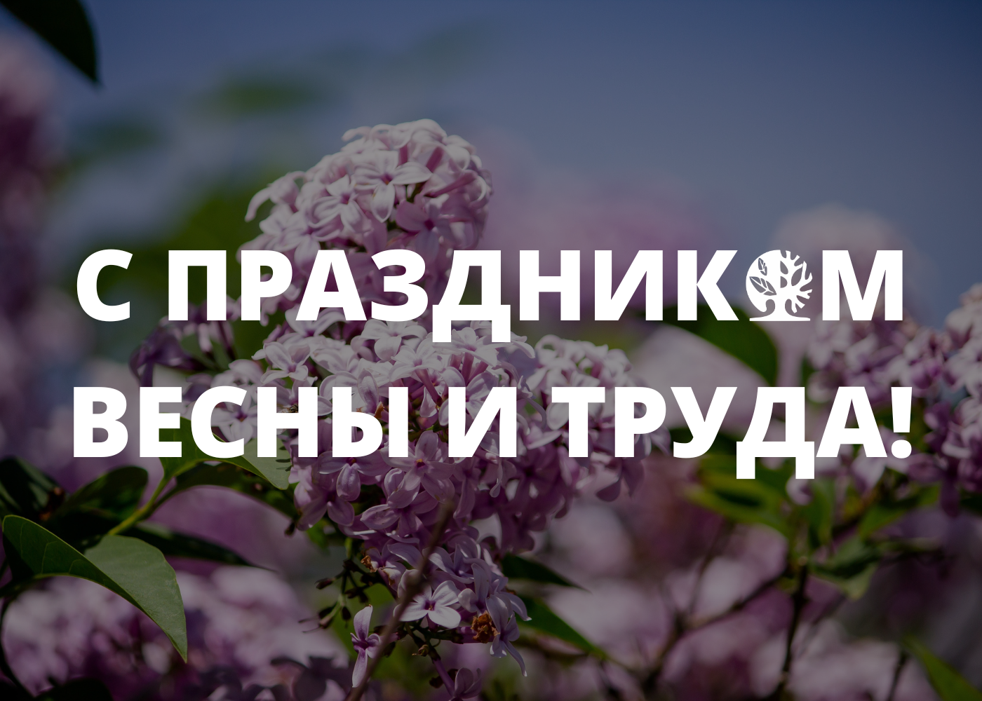 С 1 Мая! С 1 Мая!