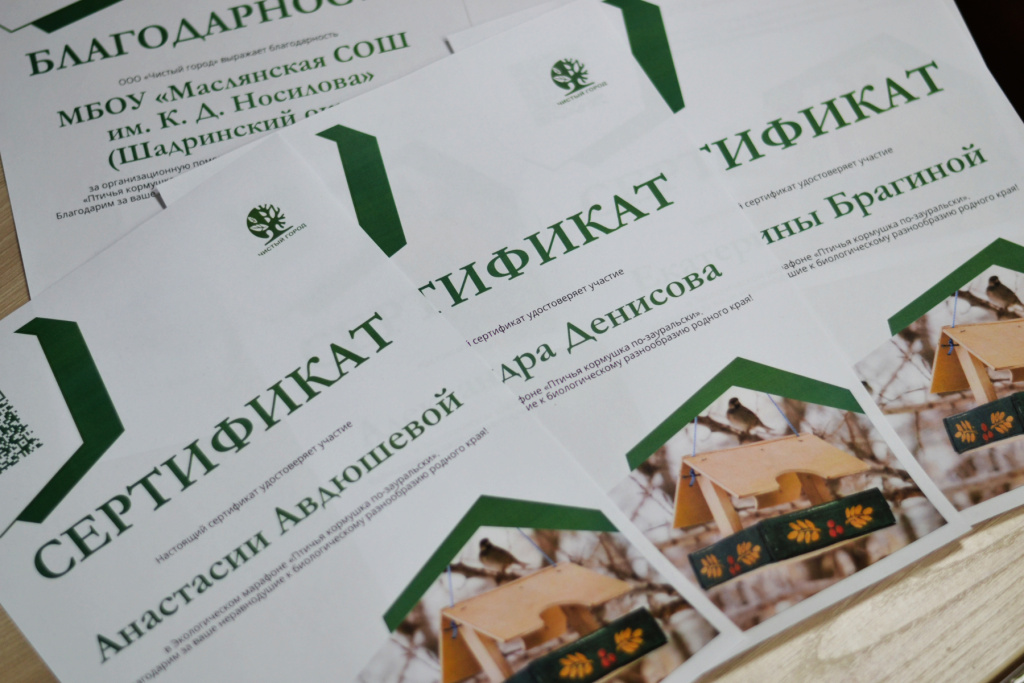 Подводим итоги Экологического марафона «Птичья столовая по-зауральски» Подводим итоги Экологического марафона «Птичья столовая по-зауральски»
