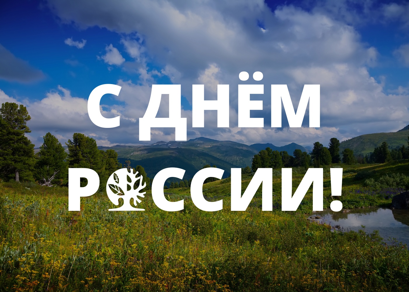 С Днём России! С Днём России!