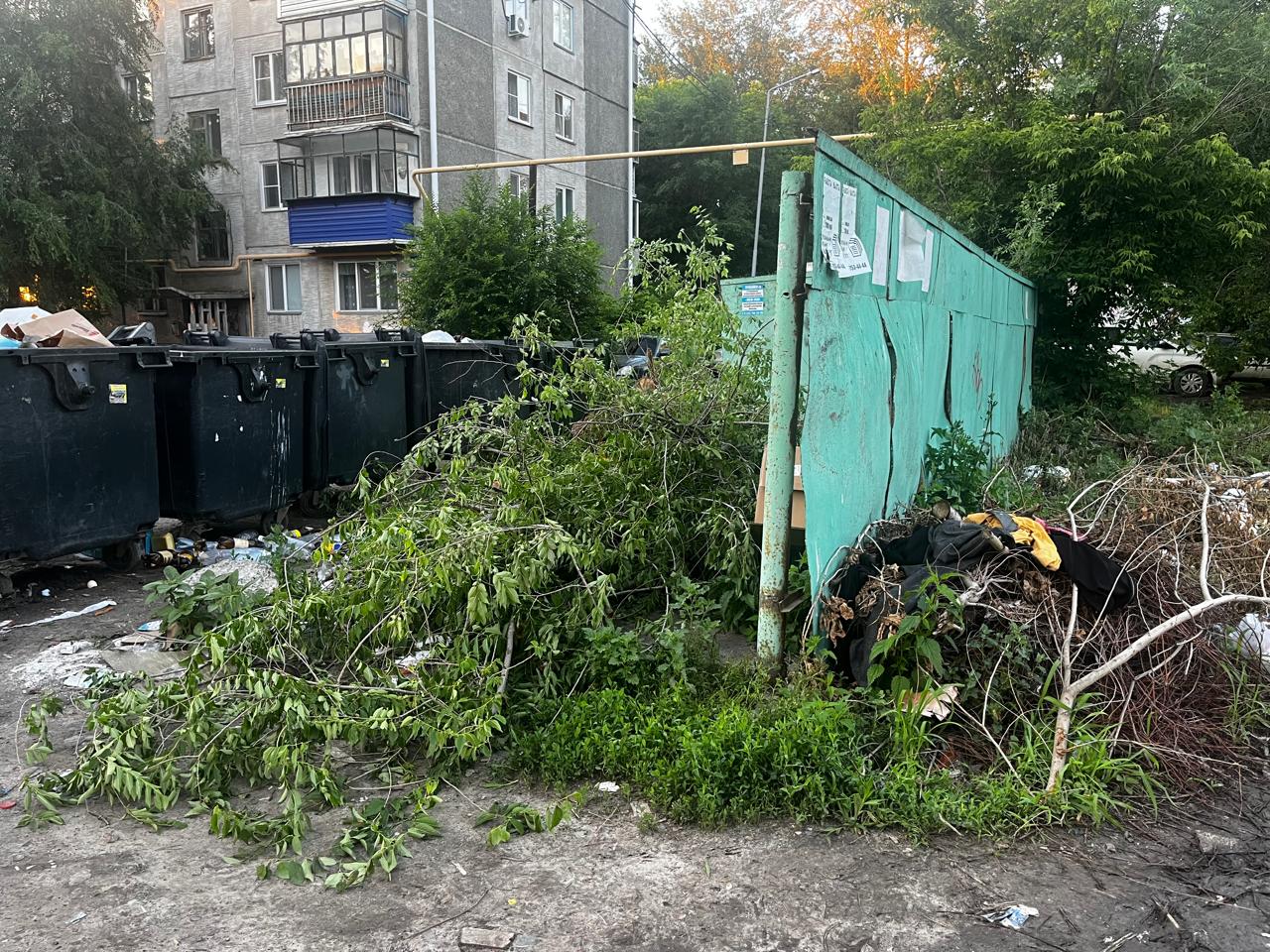 Вывезите это немедленно, или Еще раз о дорогом воздухе Вывезите это немедленно, или Еще раз о дорогом воздухе