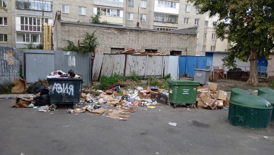 В ходе рейда Департамента ЖКХ обнаружена несанкционированная свалка В ходе рейда Департамента ЖКХ обнаружена несанкционированная свалка