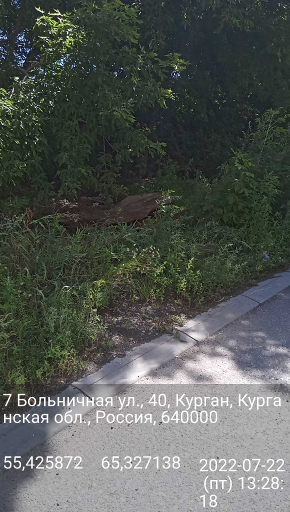до2.jpg