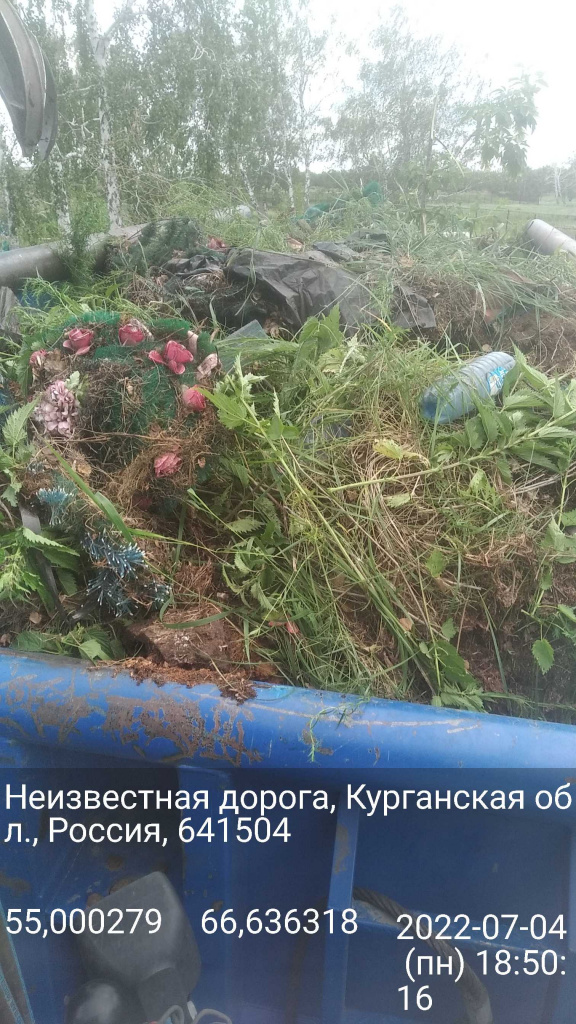 песьяноеПОСЛЕ1.jpg