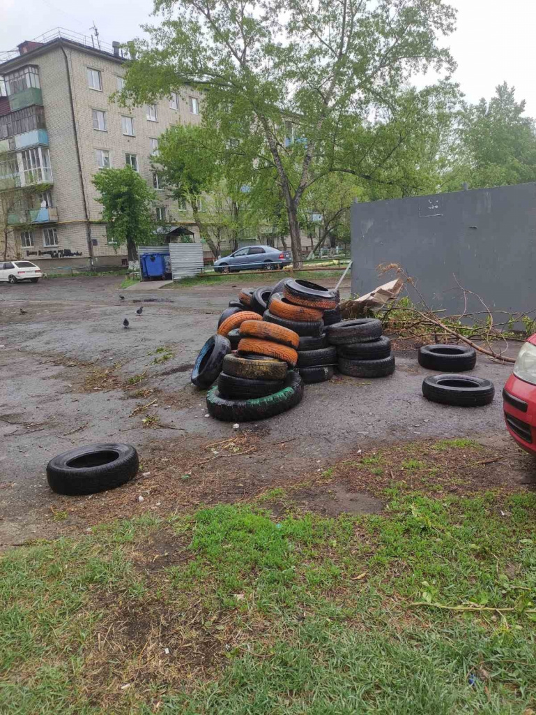 шины1.jpg шины1.jpg
