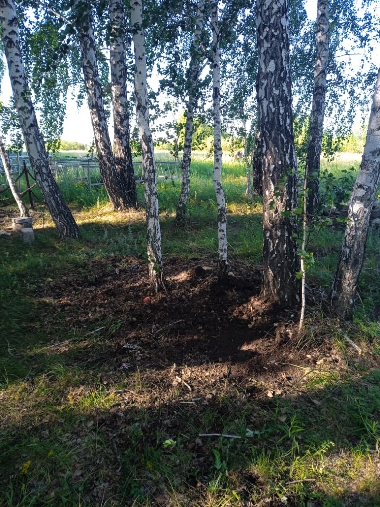 a78de1f5-b0ab-4f65-95a3-aef31cab068c.jpg