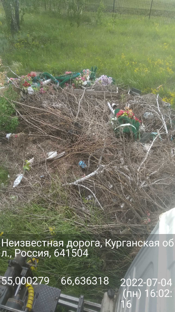 песьяноеДО.jpg