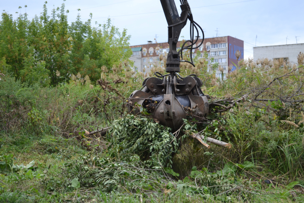 DSC_0592.jpg DSC_0592.jpg